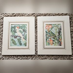 Map Es Monde Ltd. The West Indian Collection Print Set Of 2 Parrot Bird Artwork